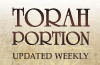 Torah-Portion-banner-100x65_preview
